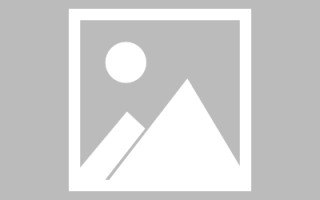 湖南新区景区网站建设（in art criticism,you must assume）